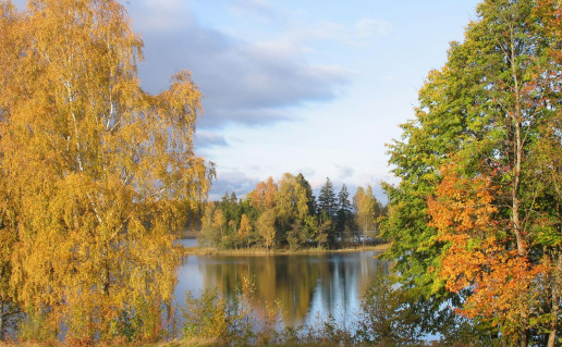 14_Gaidsale rudeni. S.Sidabro n.jpg